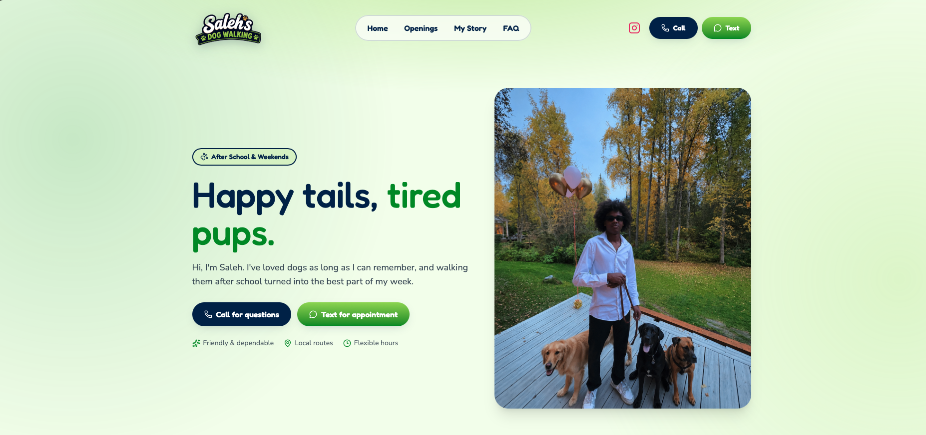 Saleh's Dog Walking desktop website